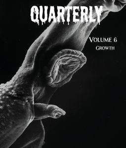 Fraidy Cat Quarterly: Volume 6 (includes ebook)